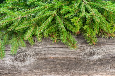 Ladin ahşap arka plan dallarda