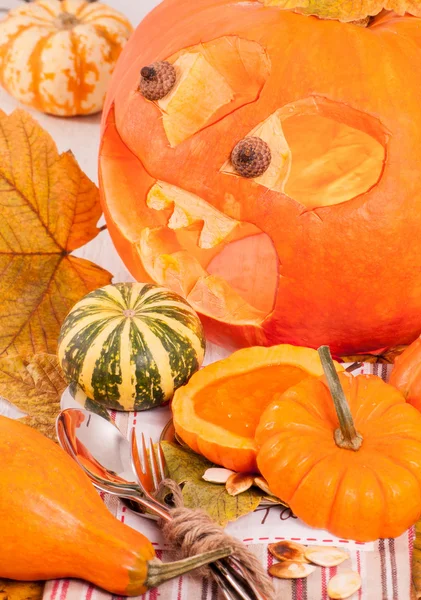 Pumpkin soup in pumpkin — Stock Photo, Image