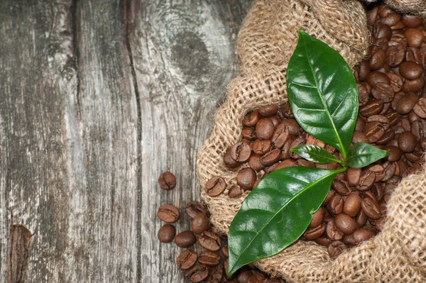Granos de café y hojas sobre fondo de madera — Foto de Stock