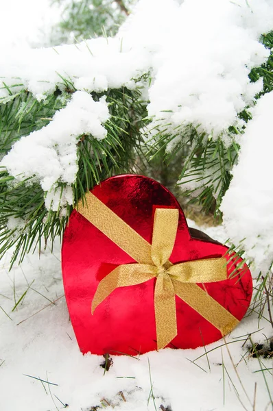 Gifts under the Christmas tree — Stock Photo, Image