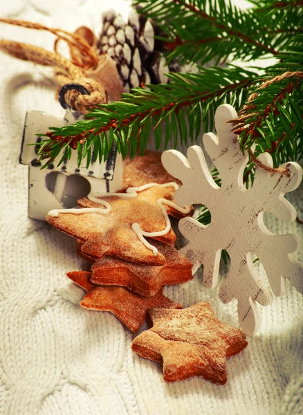 Homemade gingerbread biscuits — Stock Photo, Image