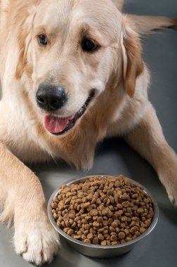 Petfood ile altın geri almak
