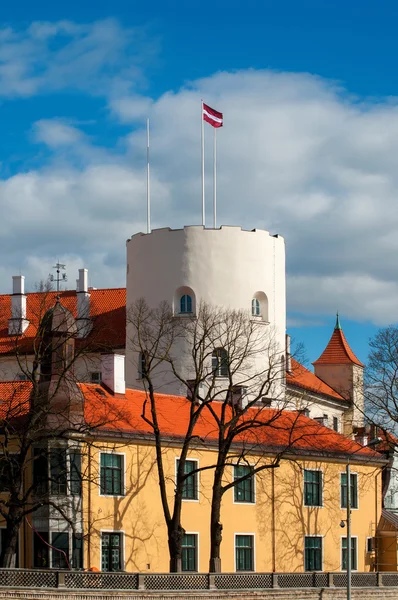 Vista panorámica de Riga — Foto de Stock