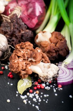 yanlış morel (gyromitra esculenta)