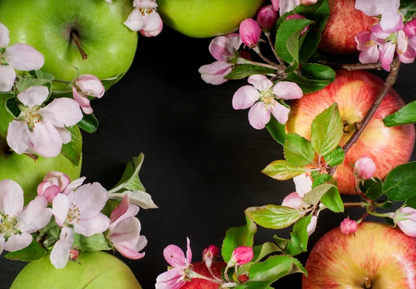 Jabłka i różowy wiosna drzewo jabłko świeże kwiaty na ramie składu na białym tle — Zdjęcie stockowe