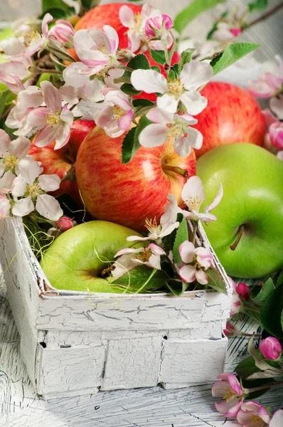 Cesta com maçã fresca — Fotografia de Stock