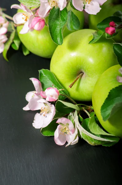 Manzanas verdes Imagen De Stock