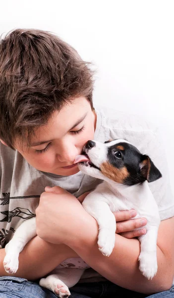 Jack Russell Terrier e Barbell Fotografias De Stock Royalty-Free