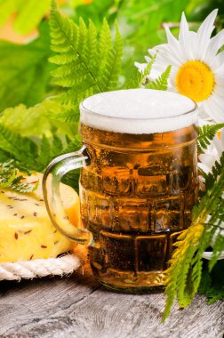 Geleneksel Letonca olaylar Ligo. Bira ve peynir ile kompozisyon