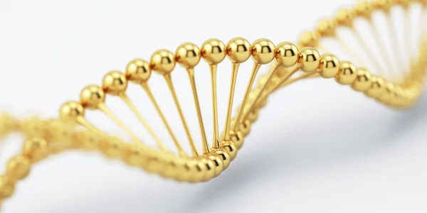 Μοντέλο Χρυσή δομή DNA με απαλή εστίαση — Φωτογραφία Αρχείου