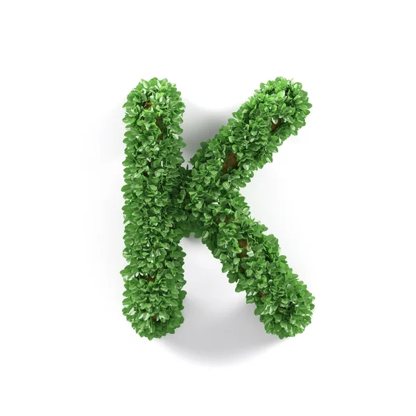 Green leaves K ecology letter alphabet font — Stock Photo, Image