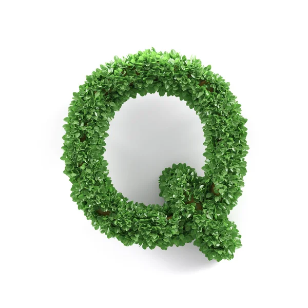 Green leaves Q ecology letter alphabet font — Stock Photo, Image