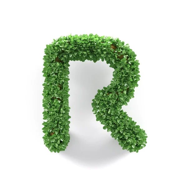 Green leaves R ecology letter alphabet font — Stock Photo, Image