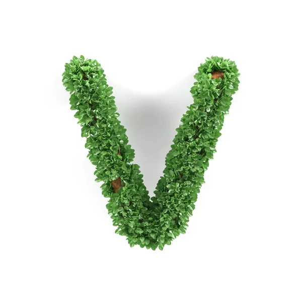 Grüne Blätter V Ökologie Buchstaben Alphabet Schriftart — Stockfoto