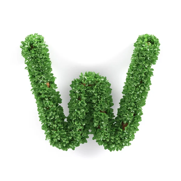 Grüne Blätter W Ökologie Buchstaben Alphabet Schriftart — Stockfoto