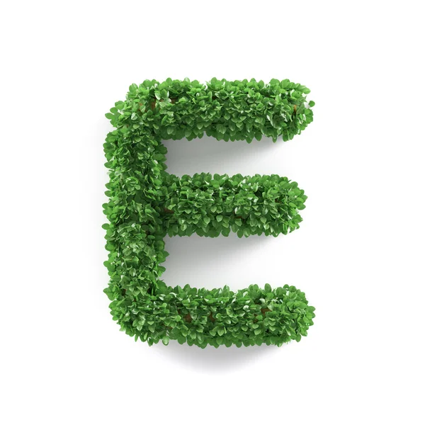 Grüne Blätter E Ökologie Buchstaben Alphabet Schriftart — Stockfoto
