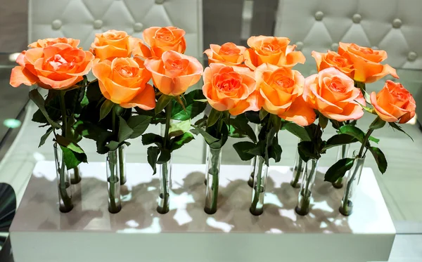 Orange Fresh roses — Stock Photo, Image