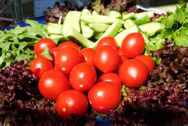 Fresh Vegetables Herbs — Stock Photo, Image