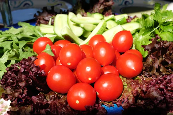 Fresh Vegetables Herbs — Stock Photo, Image