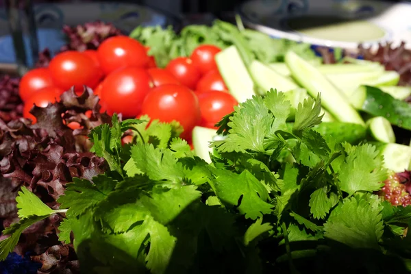 Fresh Vegetables Herbs — Stock Photo, Image