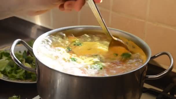Nahaufnahme Vom Kochen Von Suppe — Stockvideo