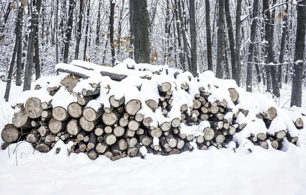 Uma pilha de madeira picada empilhada no inverno — Fotografia de Stock