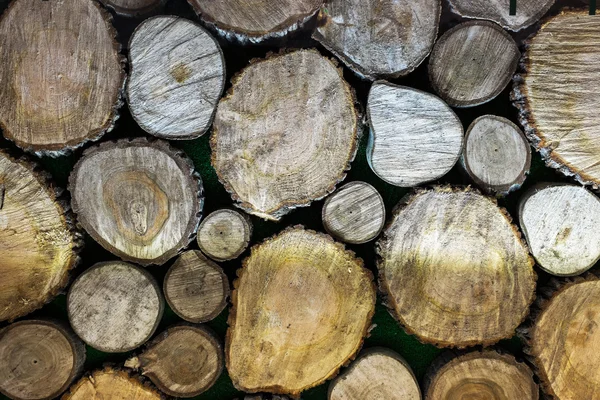Pila de tronco de madera cortada textura — Foto de Stock