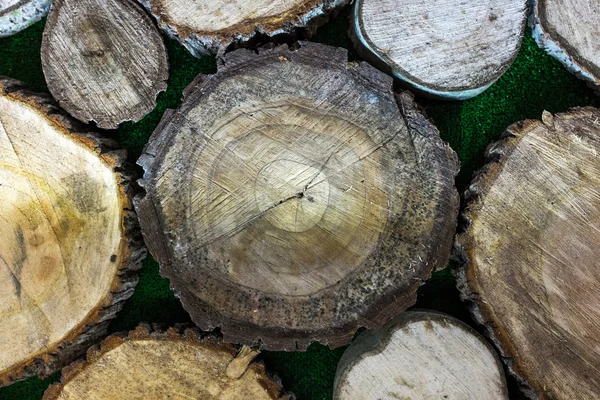 カットの木切り株ログ テクスチャの山 — ストック写真