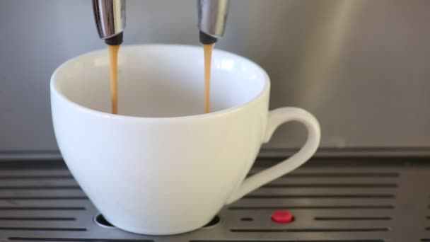 Kaffeemaschine macht zwei Deckel Kaffee — Stockvideo