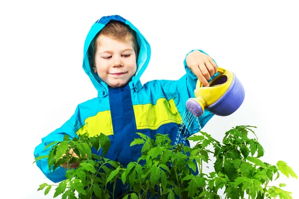 Little boy watering the plant with little can — Stock Photo, Image