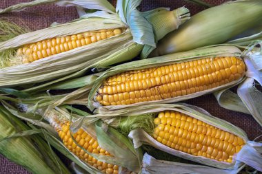 Tahta masada taze mısır.