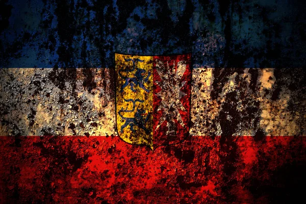 Niemcy Schleswig Holstein Flaga Stanu Grunge Metalowe Tło Tekstury Rys — Zdjęcie stockowe