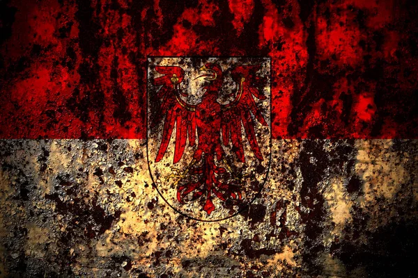 Niemcy Brandenburgia Flaga Grunge Metalowe Tło Tekstury Rys Pęknięć — Zdjęcie stockowe