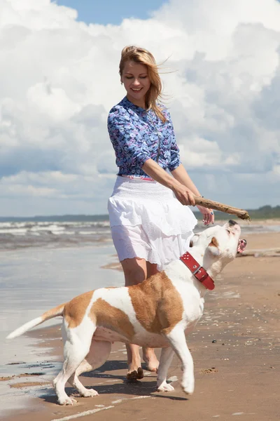 Spaß mit Hund — Stockfoto