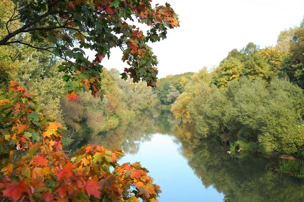 Saison — Stockfoto