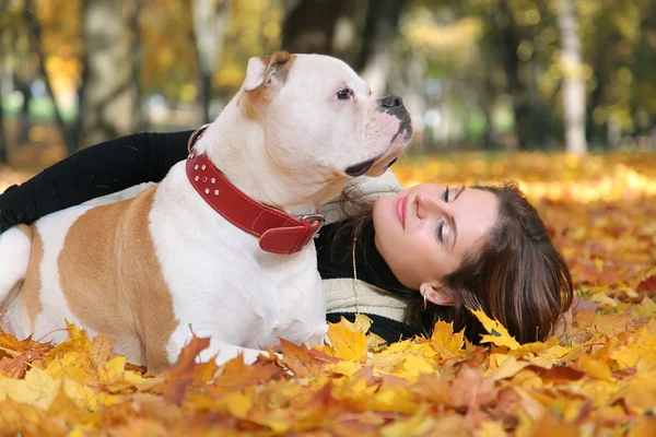 Goldener Herbst — Stockfoto