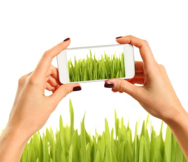 picture of grass clipart