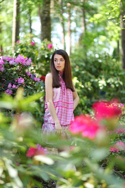 Forest with flowers — Stock Photo, Image