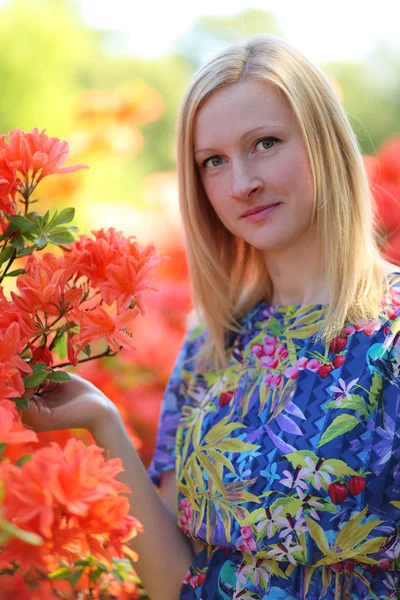 Oranje bush — Stockfoto