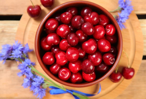 Boeket en cherry — Stockfoto
