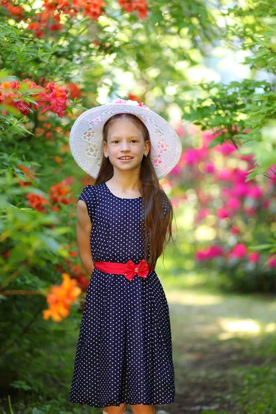 Dia alegre — Fotografia de Stock