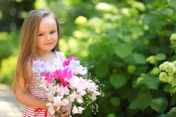 Sonniger Tag — Stockfoto