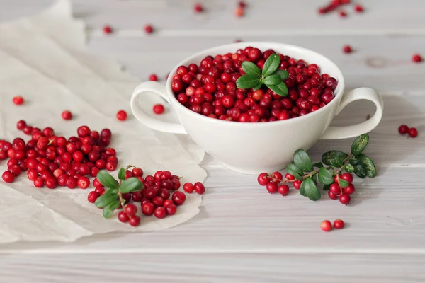 레드 lingonberries — 스톡 사진