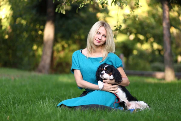 Hond in park — Stockfoto