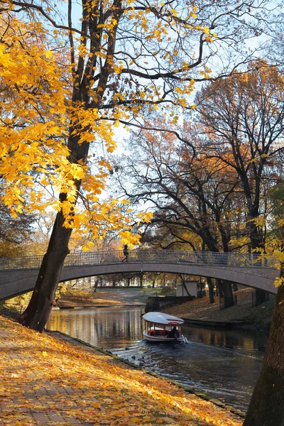 Autumn Milda in Riga — Stock Photo, Image