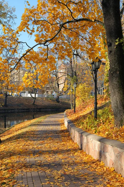 Autumn Milda in Riga — Stock Photo, Image