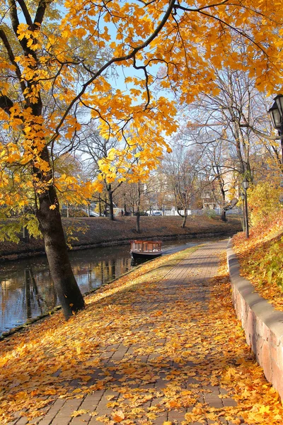 Automne Milda à Riga — Photo