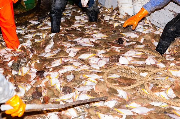 Fishermen catch fish processed at night — Stock Photo, Image