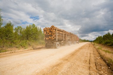 Yüklü römork orman bir ülke yolda gidiyor