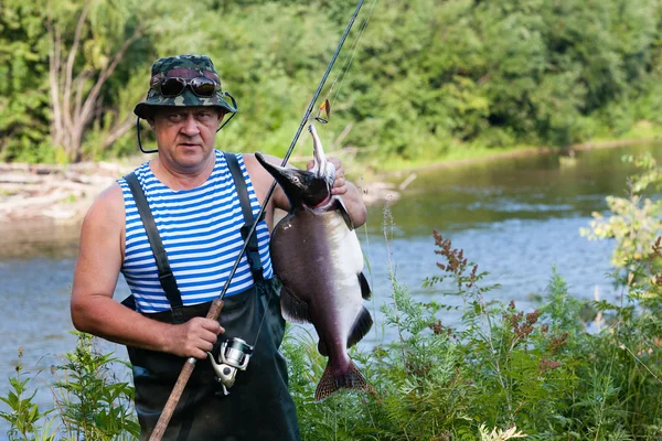 Pescador mantiene atrapado salmón rosado macho fue capturado en el río — Foto de Stock